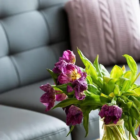 Modern Center By Renters * פוזנן