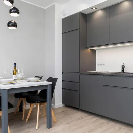 Modern Center By Renters פוזנן