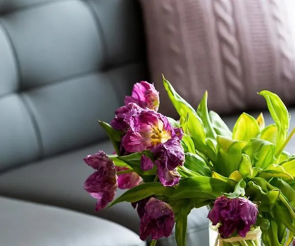 Modern Center By Renters * 포즈난