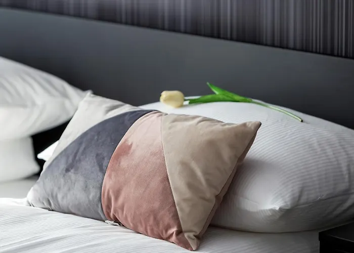 Modern Center By Renters * 포즈난