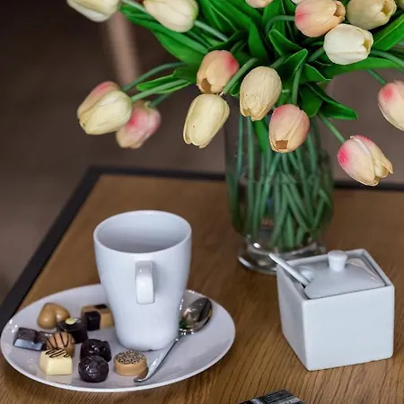 Appartement Modern Center By Renters *