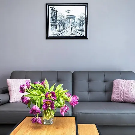 Modern Center By Renters
