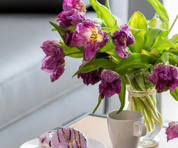 Modern Center By Renters *